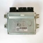 Ecu MEC38-020 B1 GC